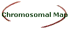 Chromosomal Map